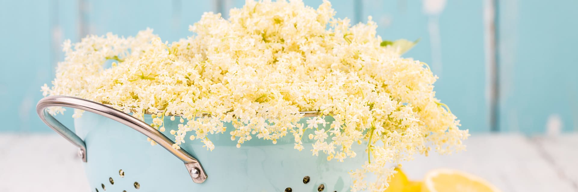 elderflower