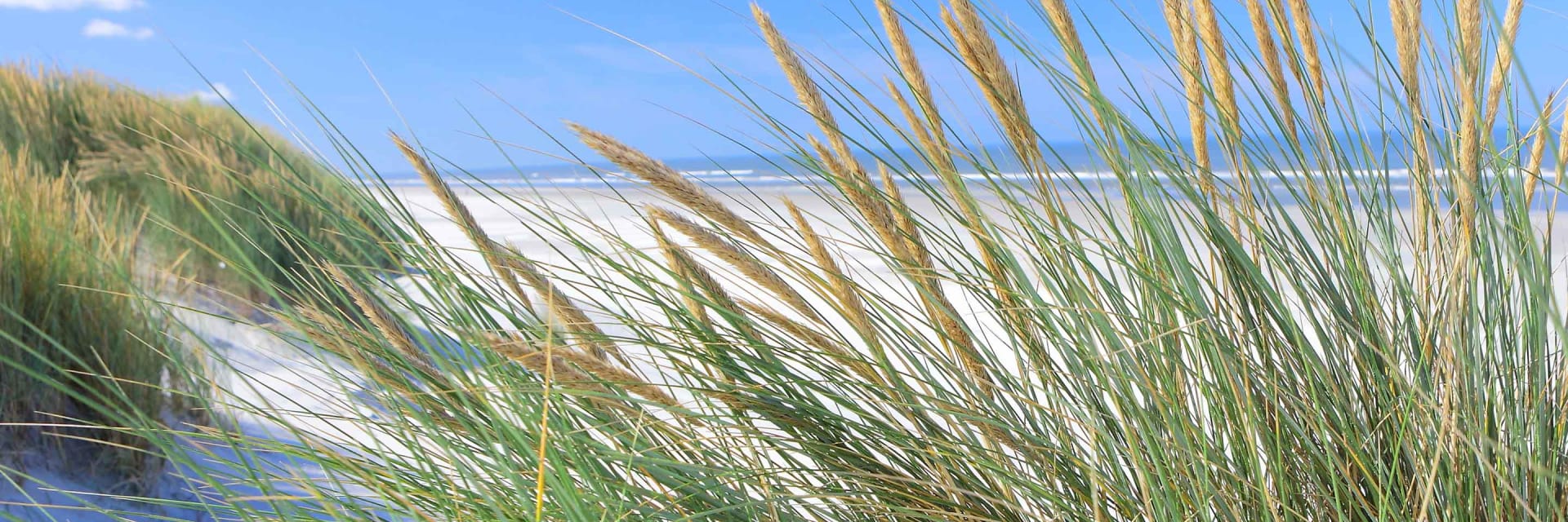 irrigazione-vacanza-spiaggia