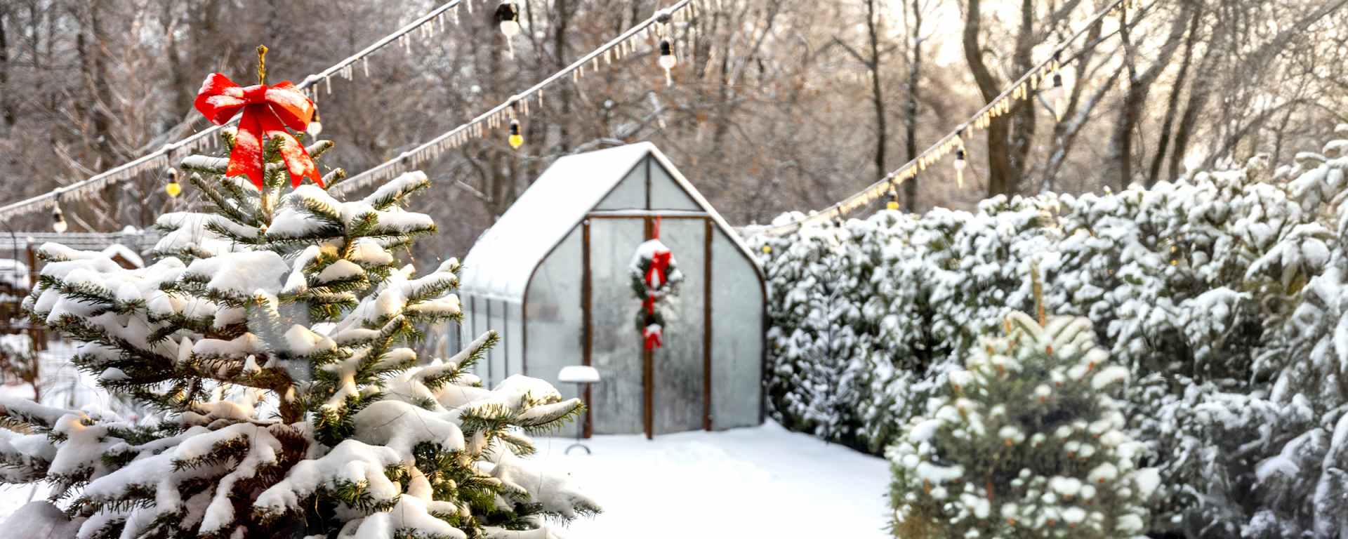 Kleines Gewächshaus im verschneiten Garten