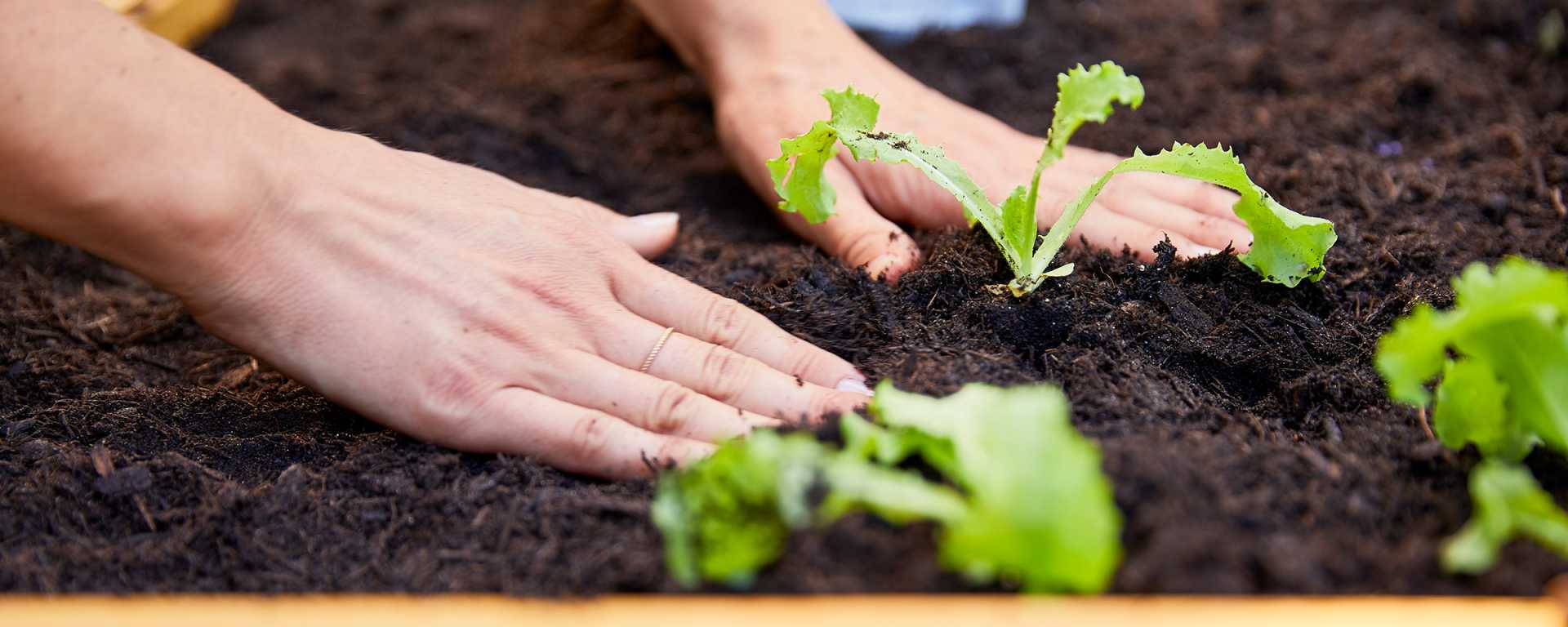 slider_desktop_gartenarbeit_maerz