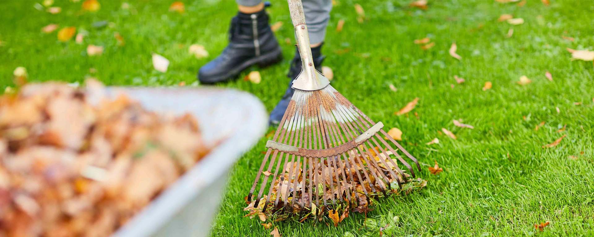 Herbstlaub entfernen