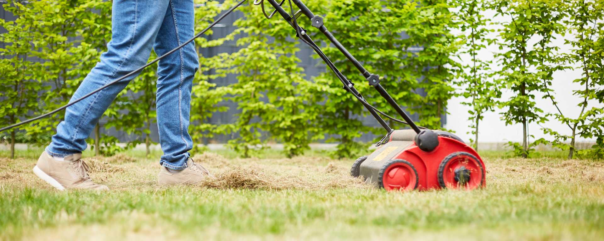 slider_desktop_rasen_vertikutieren