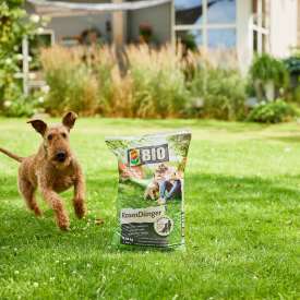 Ein Beutel COMPO BIO Rasendünger steht auf dem Rasen neben einem Hund