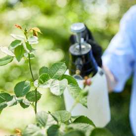 plant-protection_pflanzenschutz_compo-group