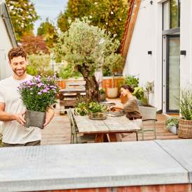 Person trägt eine Pflanze auf einer Dachterrasse