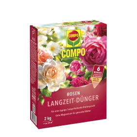 compo image