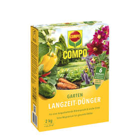 compo image