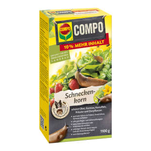 compo image