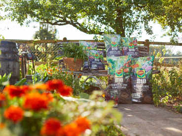 compo-Blumenerden-mood-M8A2283-kl
