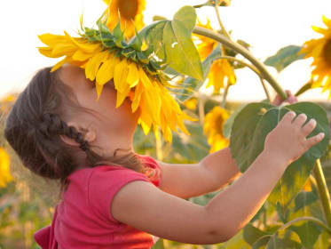 Jardin : 4 graines magiques à planter avec les enfants