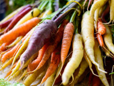 Faites pousser facilement des légumes insolites et colorés grâce à