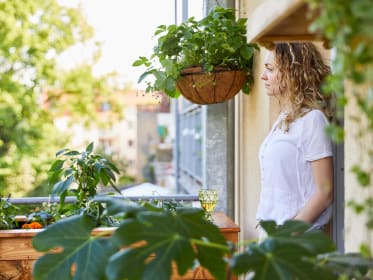 vegetables balcony