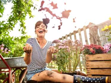 terriccio-nozioni-base