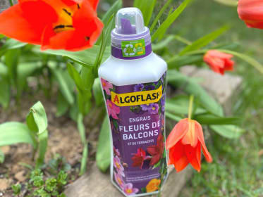 Algoflash - Engrais Plantes Vertes et Plantes Fleuries 1 L - Gamm vert