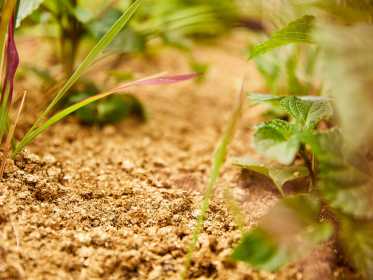 Bodenschutz Pellets nach dem Aufquellen