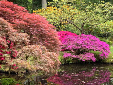 Japanischer Garten