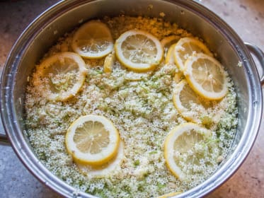 elderflower