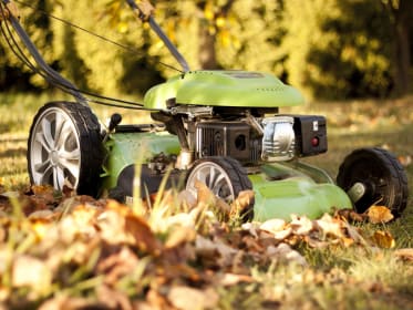 Autumn lawn care mow