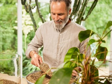 Mann beim Umtopfen mit COMPO BIO GRANUPLANT Indoor Pflanzgranulat