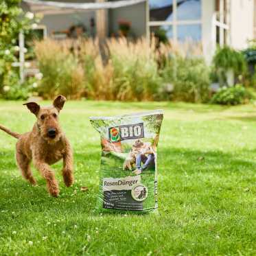 Ein Beutel COMPO BIO Rasendünger steht auf dem Rasen neben einem Hund