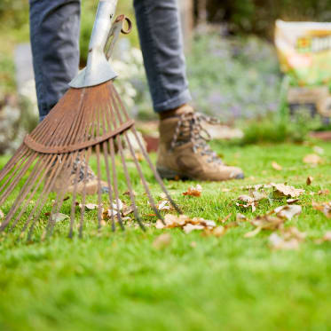 Garten winterfest machen