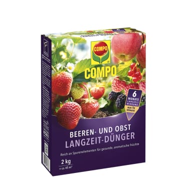 compo image