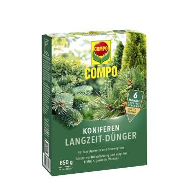 compo image