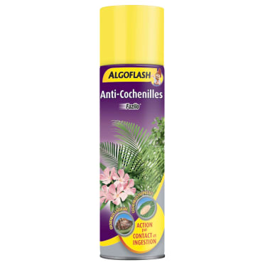 Engrais plantes vertes ALGOFLASH : le flacon 750 mL à Prix Carrefour