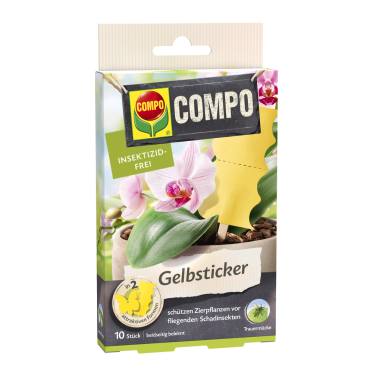 compo image
