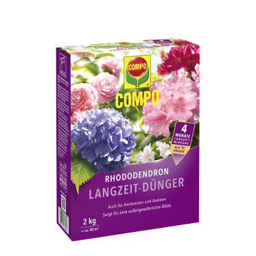 compo image
