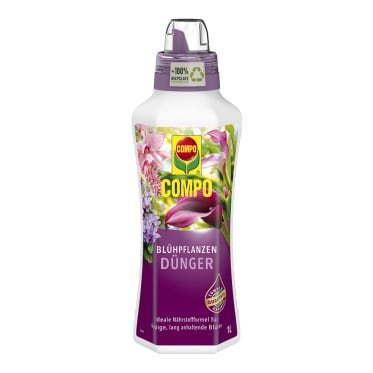 compo image