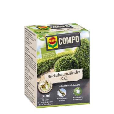 compo image