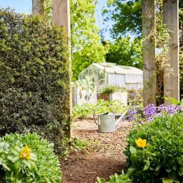 Garten mit Hecke, Gewächshaus, Weg aus Holzschniteln zwischen Pflanzen