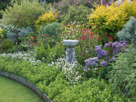 Mieux planifier un jardin de vivaces - Châtelaine