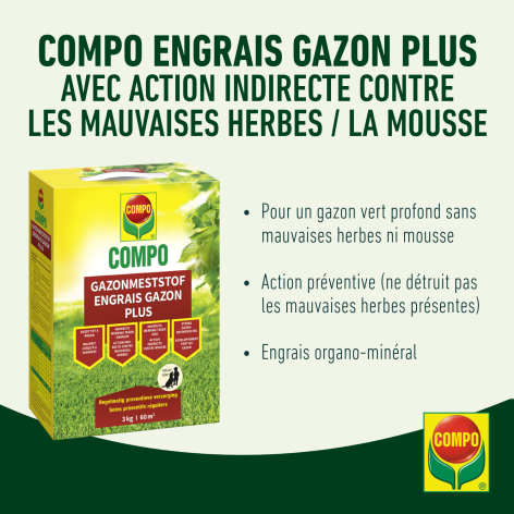 compo image