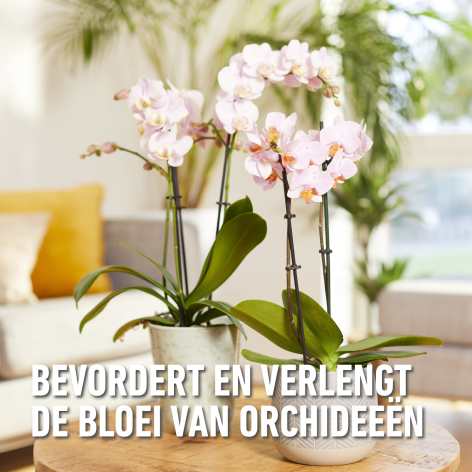 compo image