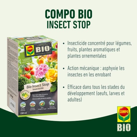compo image