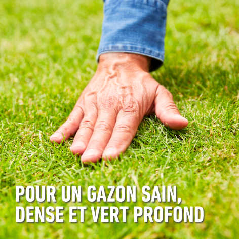 compo image