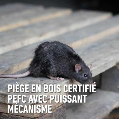compo image