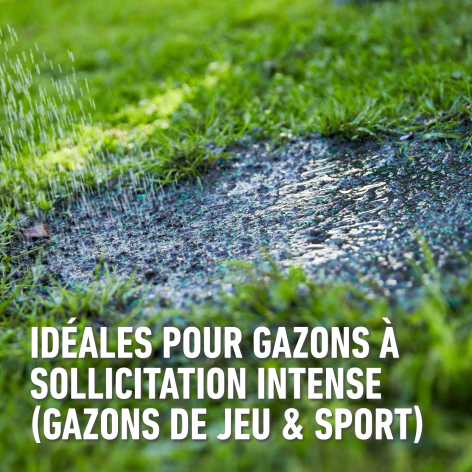 compo image