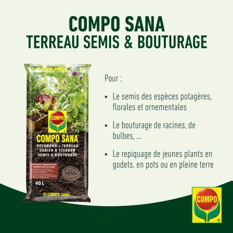 compo image