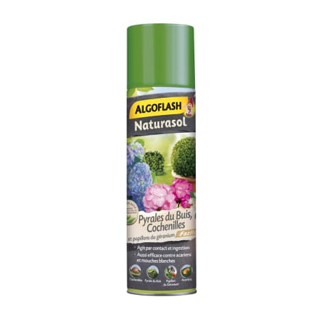 Spray anti-mouche du terreau