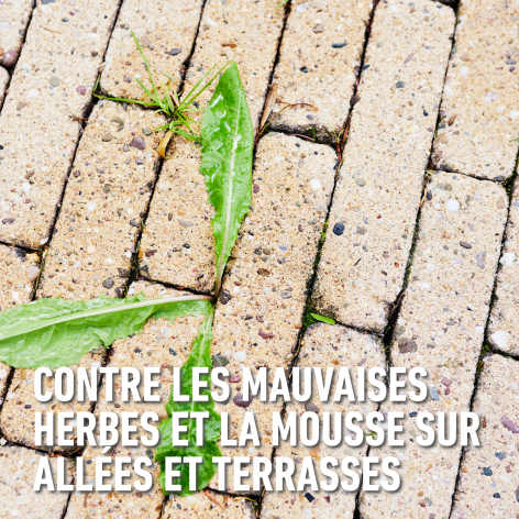 compo image
