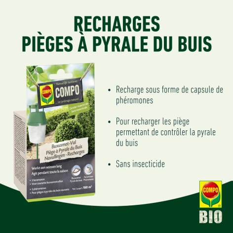 compo image