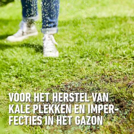 compo image