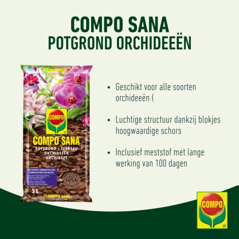 compo image