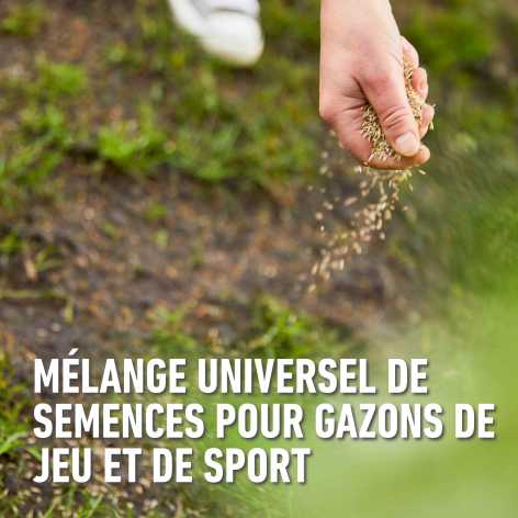 compo image