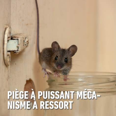 compo image