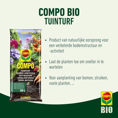 compo image
