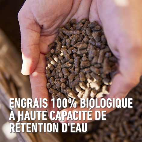 compo image